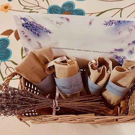 Natura A Portata Di Mano! シャレー フラボーザ・ソプラーナ