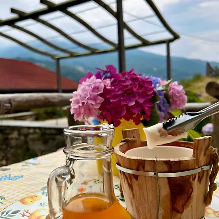 Natura A Portata Di Mano! Frabosa Soprana