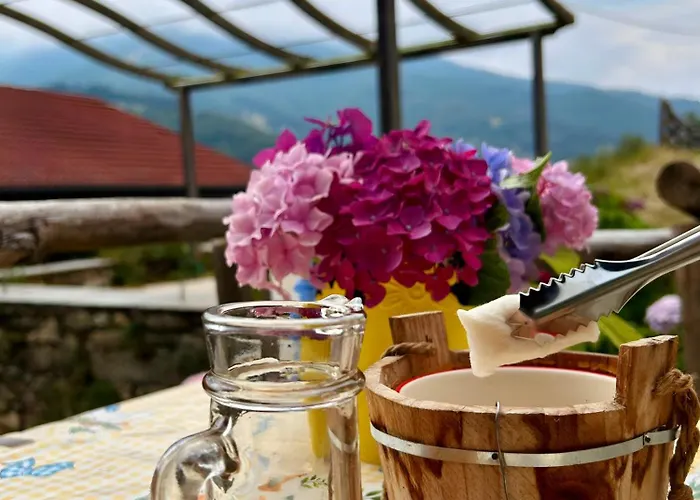 Natura A Portata Di Mano! Frabosa Soprana